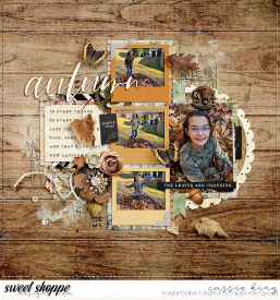 SBD_-KCB-NTS-Seasons-Change-_BG-Scrap-Maps-9_.jpg