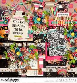 SBD_-SPD-All-in-the-Details-_SS-WEather-the-Storm_.jpg
