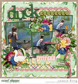 SDD_Ducks_in_a_Row_CS-TAN1photoV4-pg3_.jpg