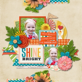 SHINE_BRIGHT.jpg