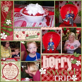 SSD-Berry-Sweet-Trip600.jpg