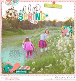 SSD-DSIBB-KL-MAR2015-Hello-Spring.jpg