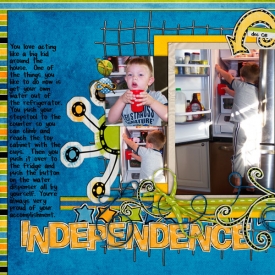 SSD-Independence600.jpg