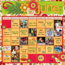 SSD-June-2009-recap600.jpg