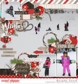 SSD-KL-2017_03-SnowDay.jpg
