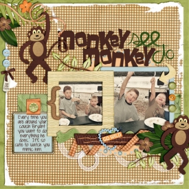 SSD-Monkey-See-Monkey-Do600.jpg