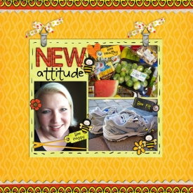 SSD-New-Attitude600.jpg