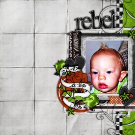 SSD-Rebel600.jpg