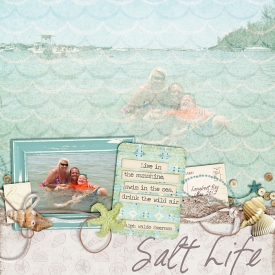SSD-Salt-Life700.jpg