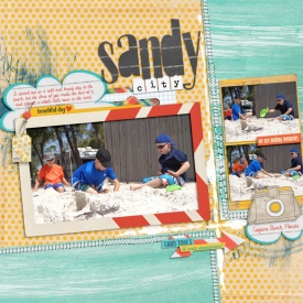 SSD-Sandycity700.jpg