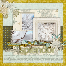 SSD-SnowySplendor600.jpg