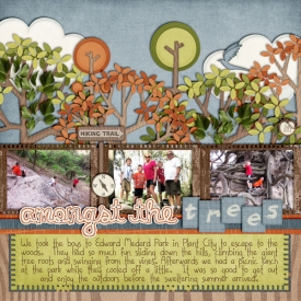 SSD-amongstthetrees600.jpg