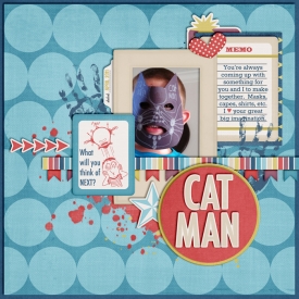 SSD-catman700.jpg