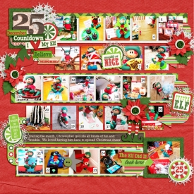 SSD-elf2011700.jpg