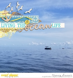 SSD-livingtheoceanlifeWM.jpg