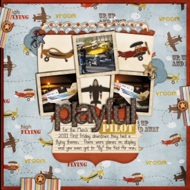 SSD-playful-pilot600.jpg