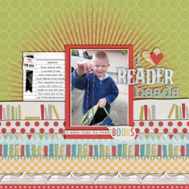SSD-readerbeads600.jpg