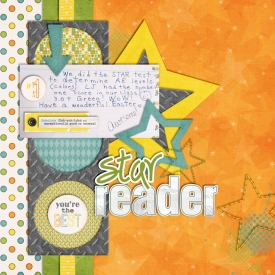 SSD-starreader700.jpg