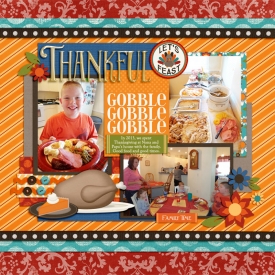 SSD-thankful2013700.jpg