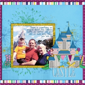 SSD-the-castle600.jpg