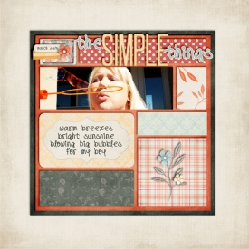 SSD-thesimplethings600.jpg