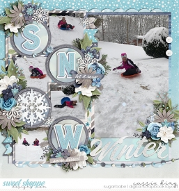 SYS-Winter.jpg