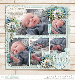 SarahSugarbabeFinn031web.jpg