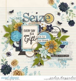 Seize-Today-WM.jpg
