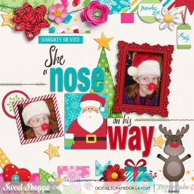 She-Nose-12-4-PST-7-WM.jpg