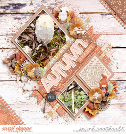 Single238ANiceAutumnDayweb.jpg