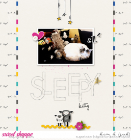 Sleepy-kitty_b.jpg