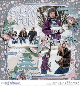 SnowFun_SSD_mrsashbaugh.jpg