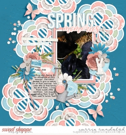 SoftlySpring_TP73WebWM.jpg