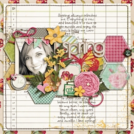 Spring-WEB7.jpg