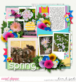 Spring_b.jpg