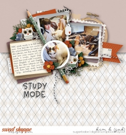 Study-mode_b.jpg