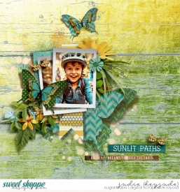 Sunlit-Paths-WM.jpg