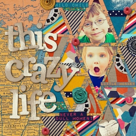 THIS_CRAZY_LIFE.jpg
