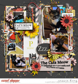 TNP-The-Cat_s-Meow-_BM-Singleton-105_.jpg