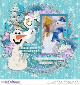 The-Cold-Never-Bothered-Me-WM.jpg