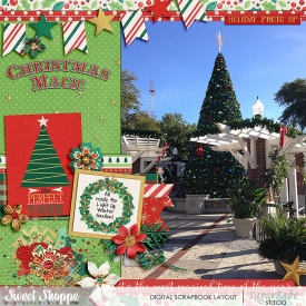 The-Perfect-Tree-700wm.jpg