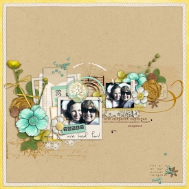 TodayWeHadFun-Jul09.jpg