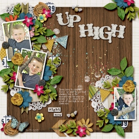 Up-High600.jpg