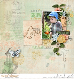 Vegetable-garden_b.jpg