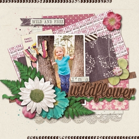 WILDFLOWER1.jpg