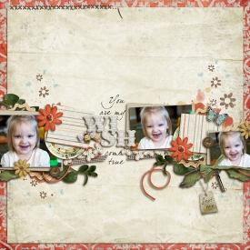 WISH12.jpg