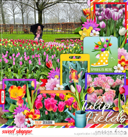 WPD-Dreaming-of-Tulips-_CS-palooza308_.jpg