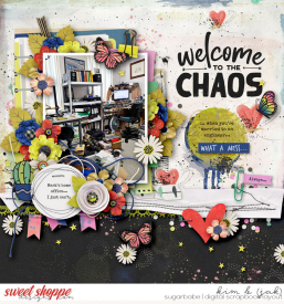 Welcome-to-the-chaos_b.jpg