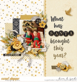 What-has-Santa-brought_b.jpg