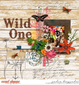 Wild-One-WM.jpg